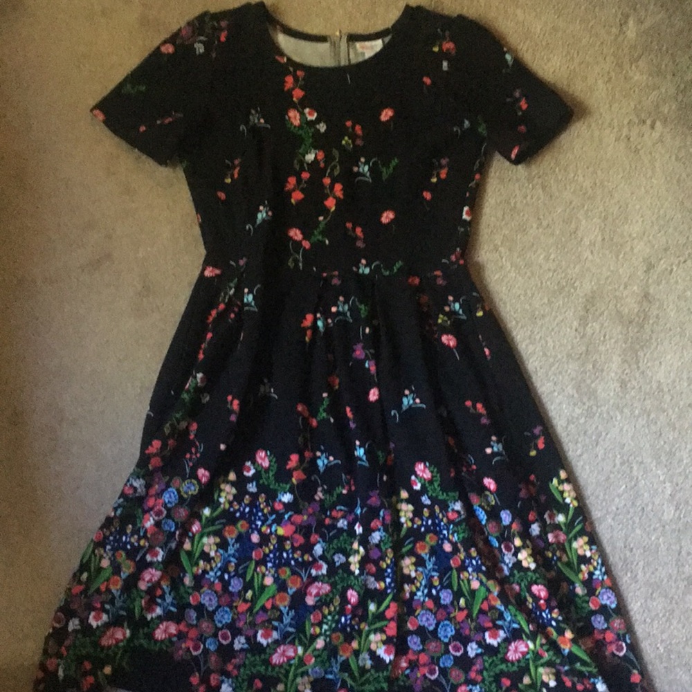 Gorgeous LulaRoe Amelia dress!